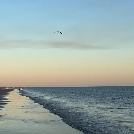6 Person In Lejlighed Fanø