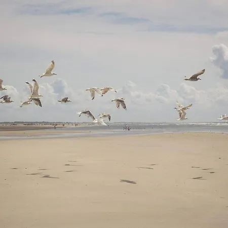 6 Person In * Fanø